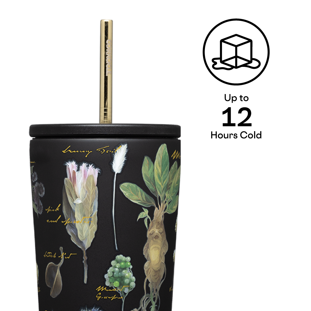 Harry Potter Cold Cup - Soft Modern Carry Style